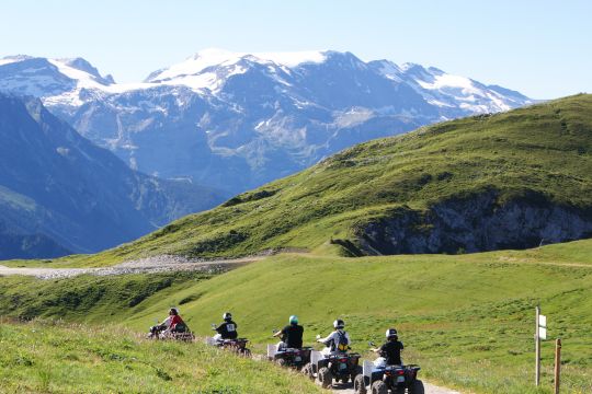 Randonnee Montagne 2h00 à La Plagne - Savoie Mont Blanc