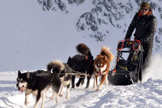 Mathias BERNAL, Musher - ELPRO