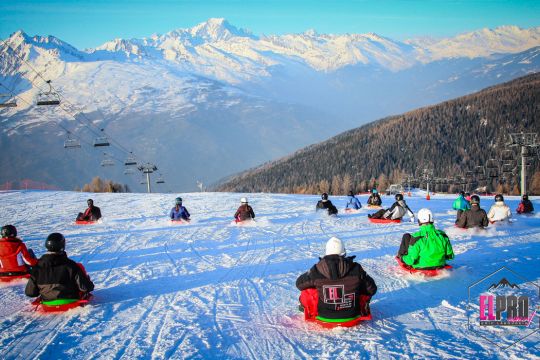 Descente en Luge