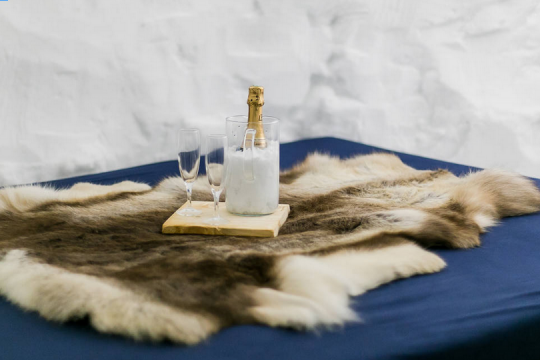 Soirée au Grand Nord