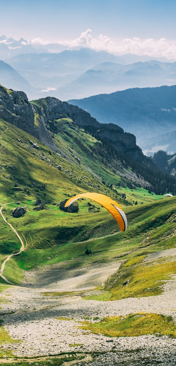 Vol découverte été