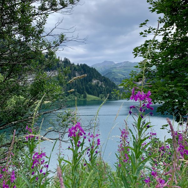 Activité VTT E-Beaufortain - VTT Experience à La Plagne avec ELPRO