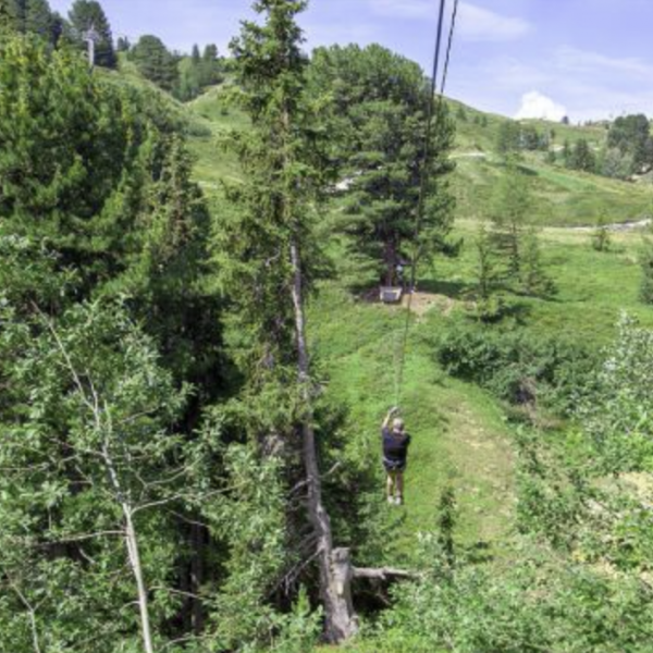 Activité incentives à La Plagne  : Cascade de Tyroliennes